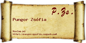 Pungor Zsófia névjegykártya